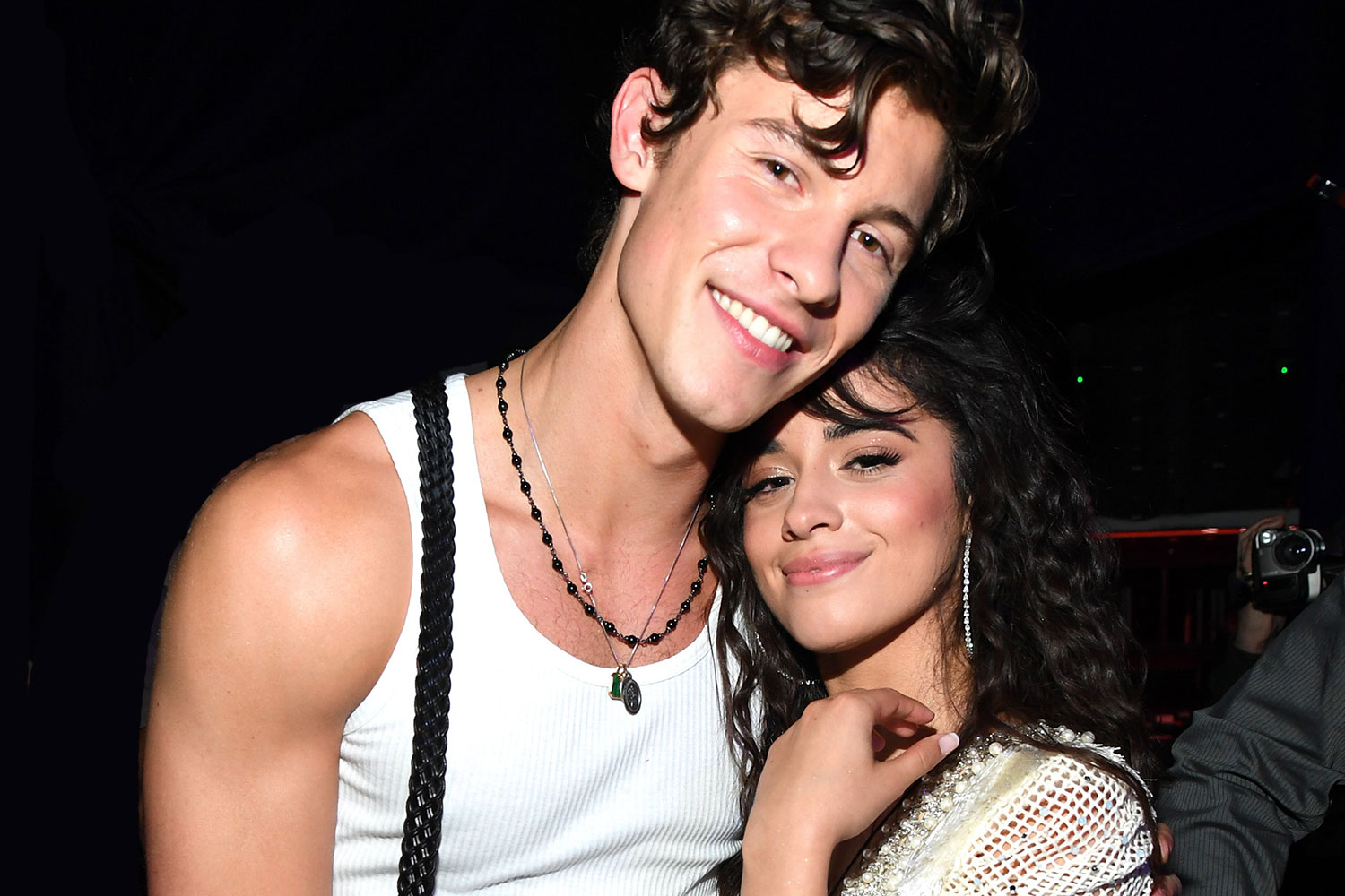 Camila Cabello admits that she is in love with Shawn