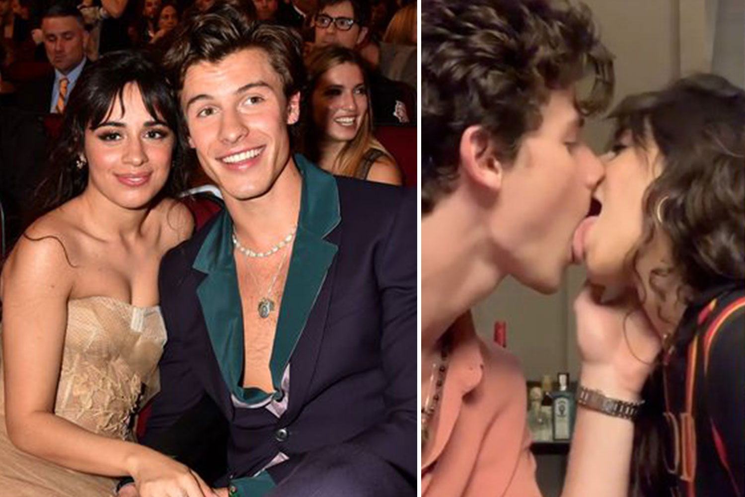 What Shawn Mendes did for Camila Cabello on Valentine's