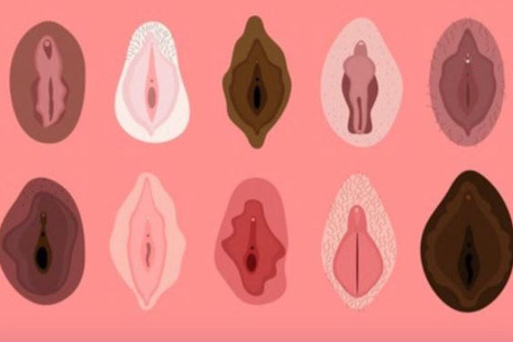 Vaginas types of Category:Close
